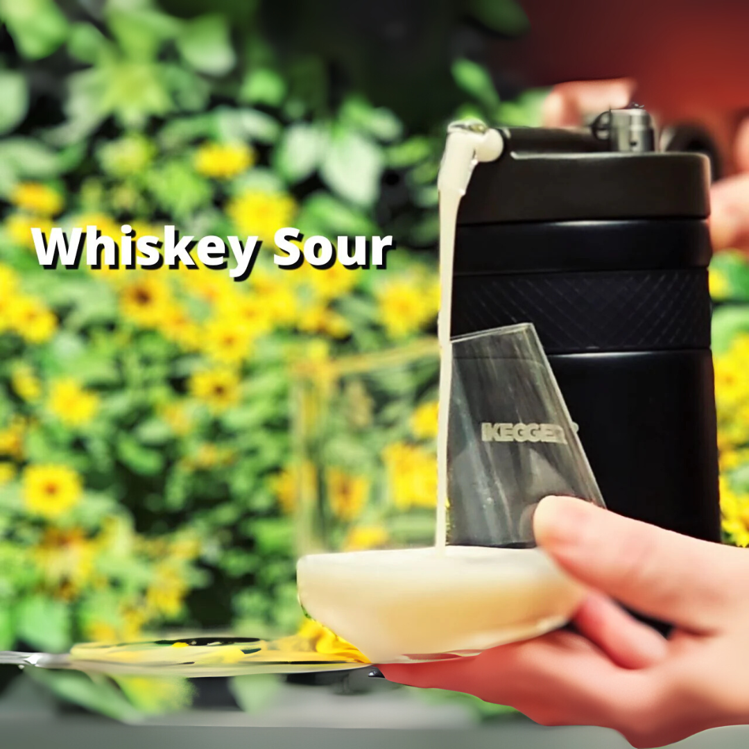 The N2Go | Instant Nitro Coffee & Cocktail Maker