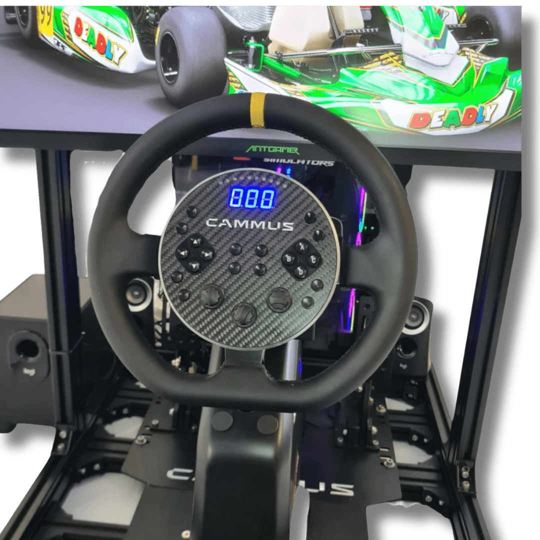 Go Cart Sim Racing Go Kart Racing Simulator | The Dens
